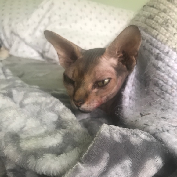 Meet your Posher, Erin - Picture 1 of 1